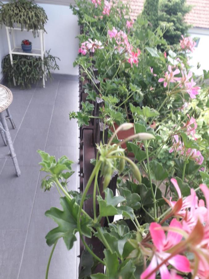 Nagy Ház Apartamento Szabadkígyós Exterior foto